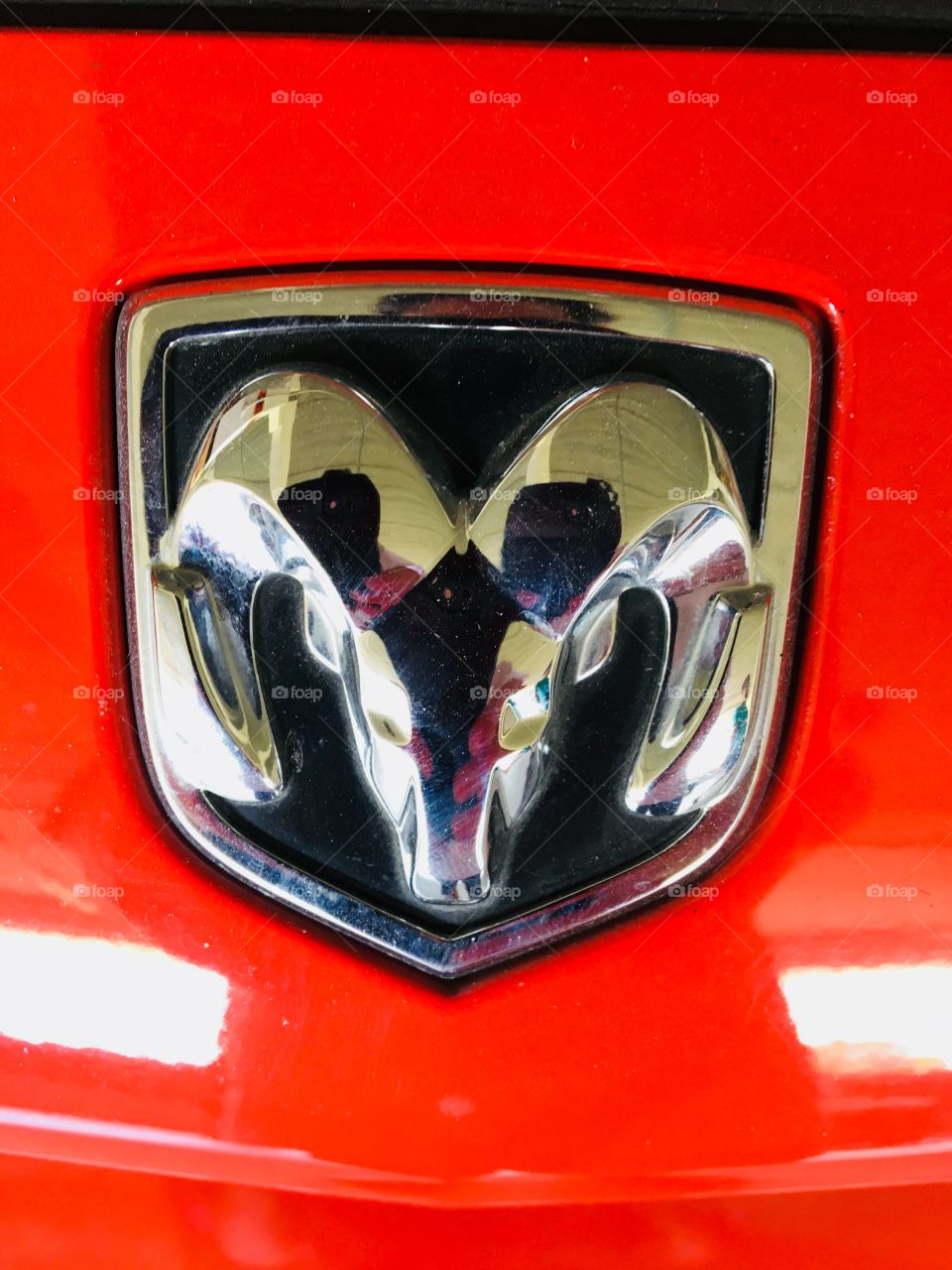 I like you use nights you fuck you still live in either moving