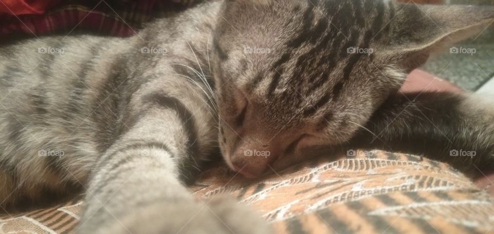 cute baby is so satisfying it can change your mood