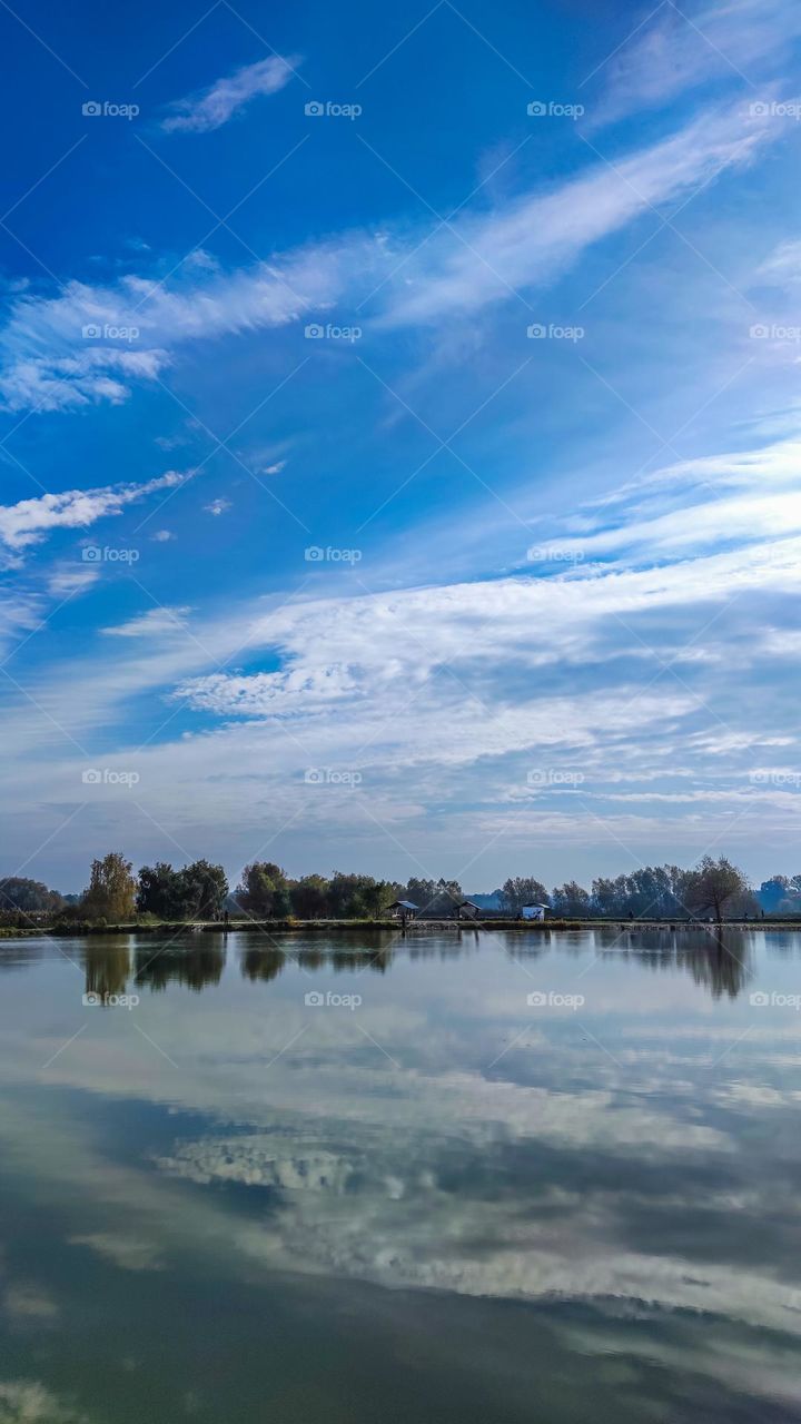 Morning on the lake