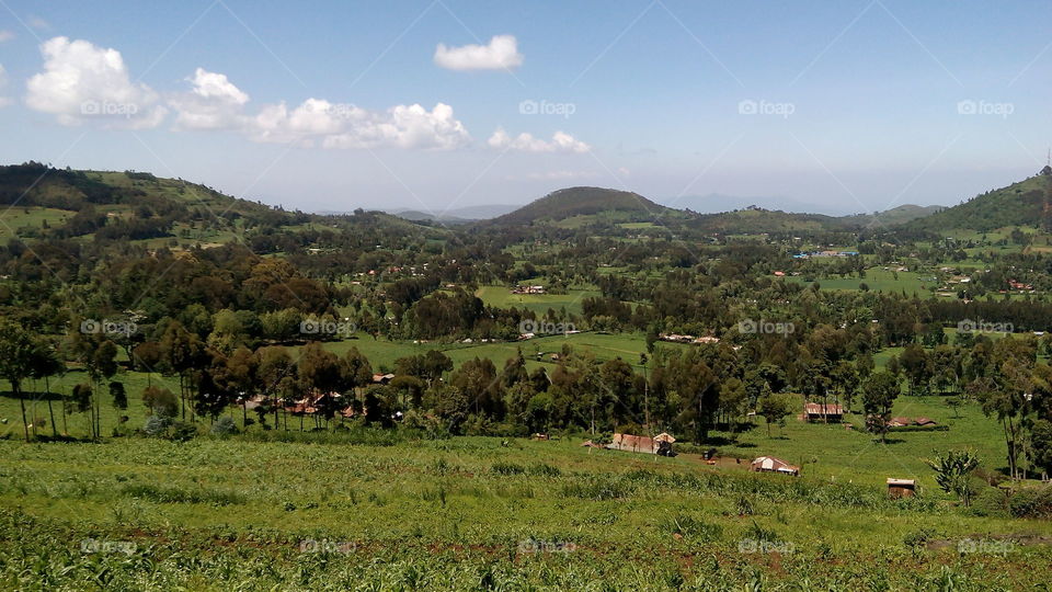 Beautiful slopes of mt kenya