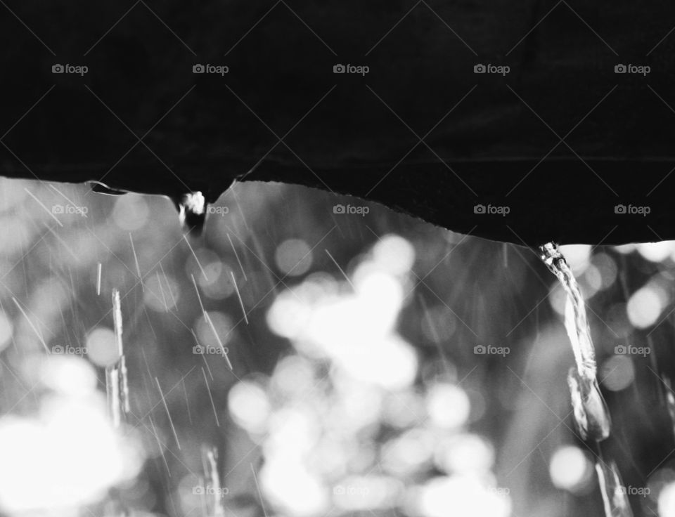 take shelter under the roof of the hut in the garden to avoid the heavy rain