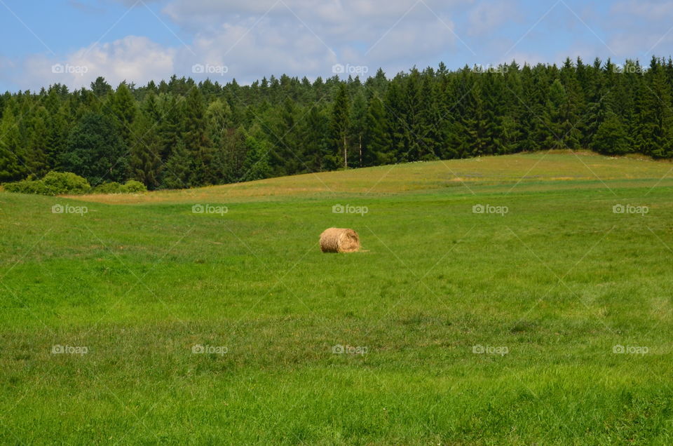 Landscape of Mazurian region in Poland