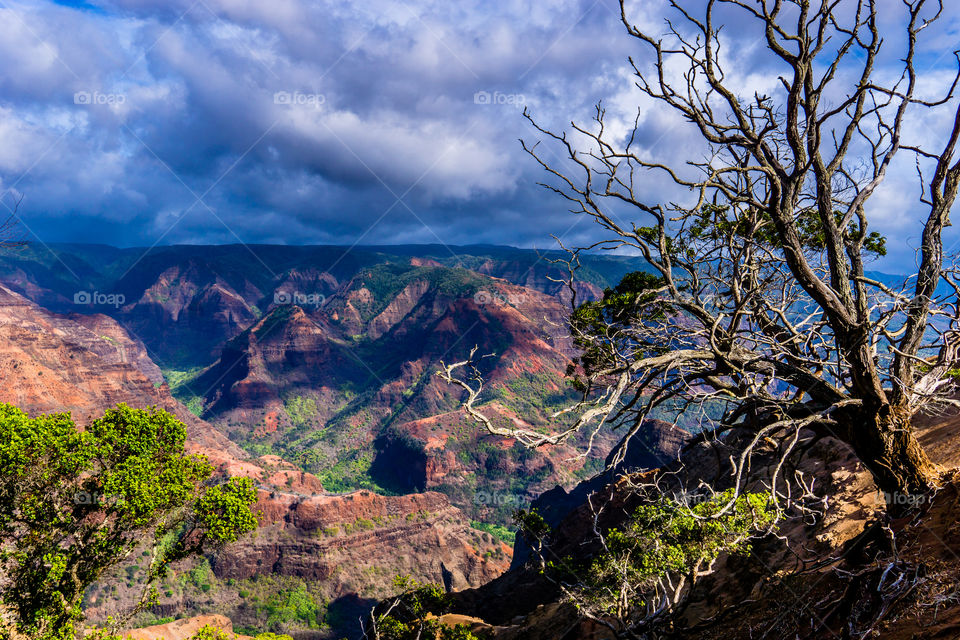 Waimea Canyon 1