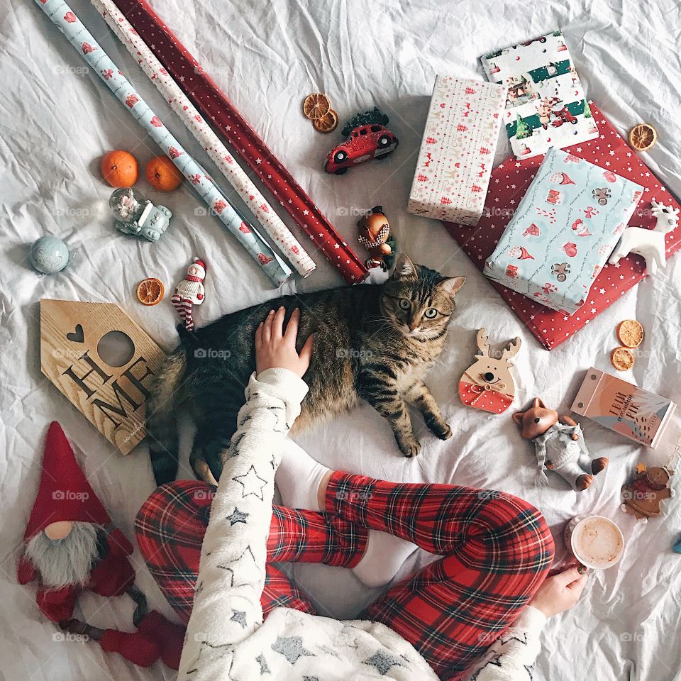 Winter time. Christmas decoration. Girl with cat