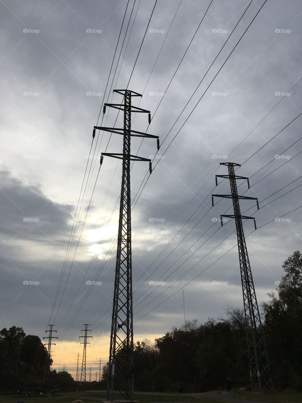 Power line skies