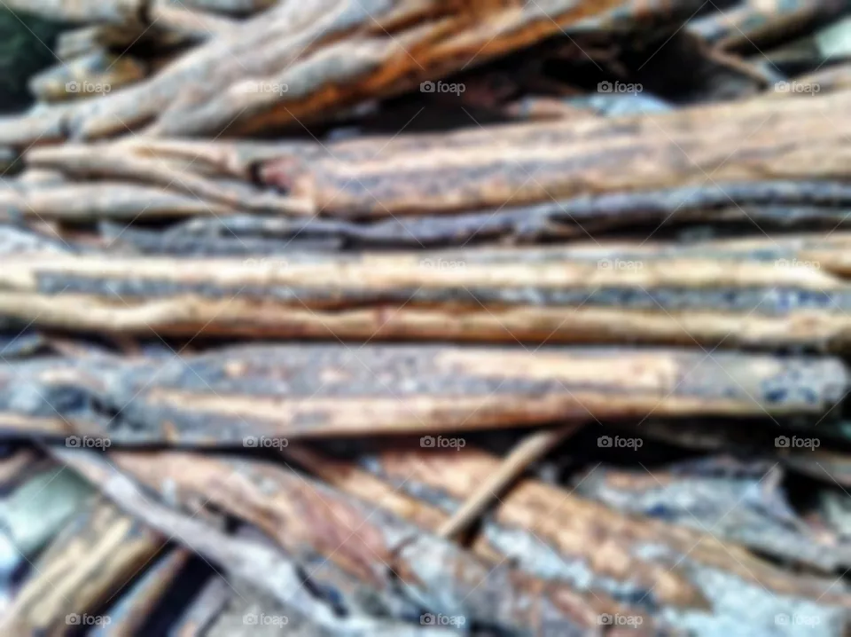 Blurry cinnamon photo