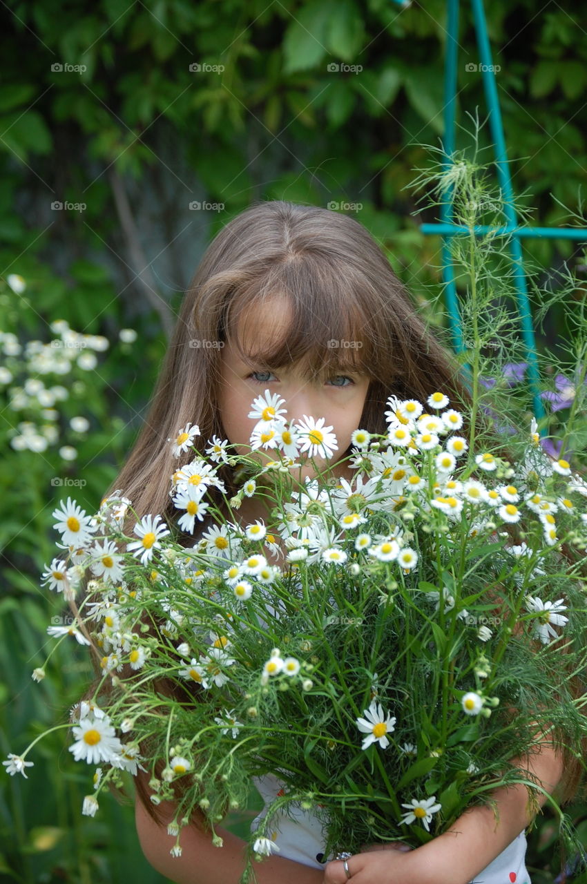 Flower, Nature, Summer, Grass, Outdoors