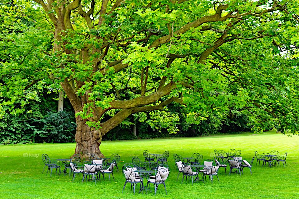 Out in the garden and under the beautifull tree! 