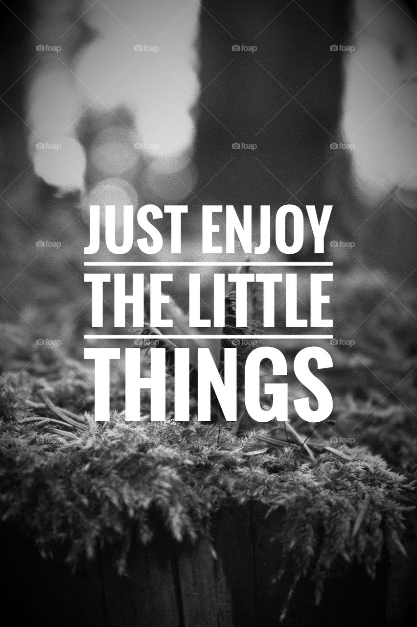 Just enjoy the little things