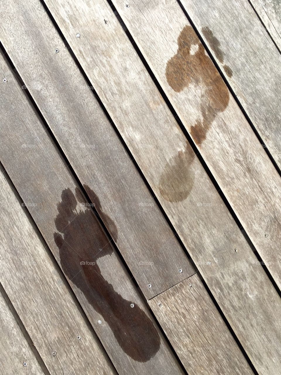 Wet footprints on wood dock