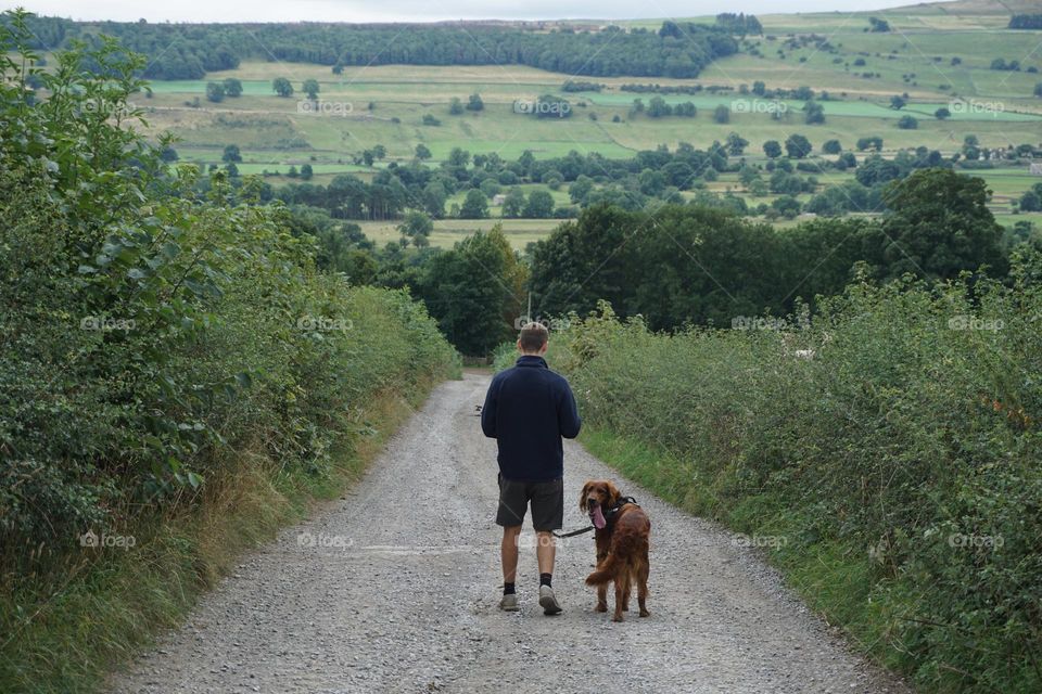 Walking in the English Countryside with Quinn our Red Setter … he is hot as it was a very muggy day … his tongue dangling … reaching the bottom of this hill we stopped for a picnic and the sun came out … all refreshed we continued our lovely walk 