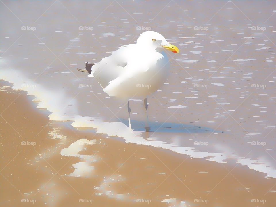 Abstract beach scene with seagull 