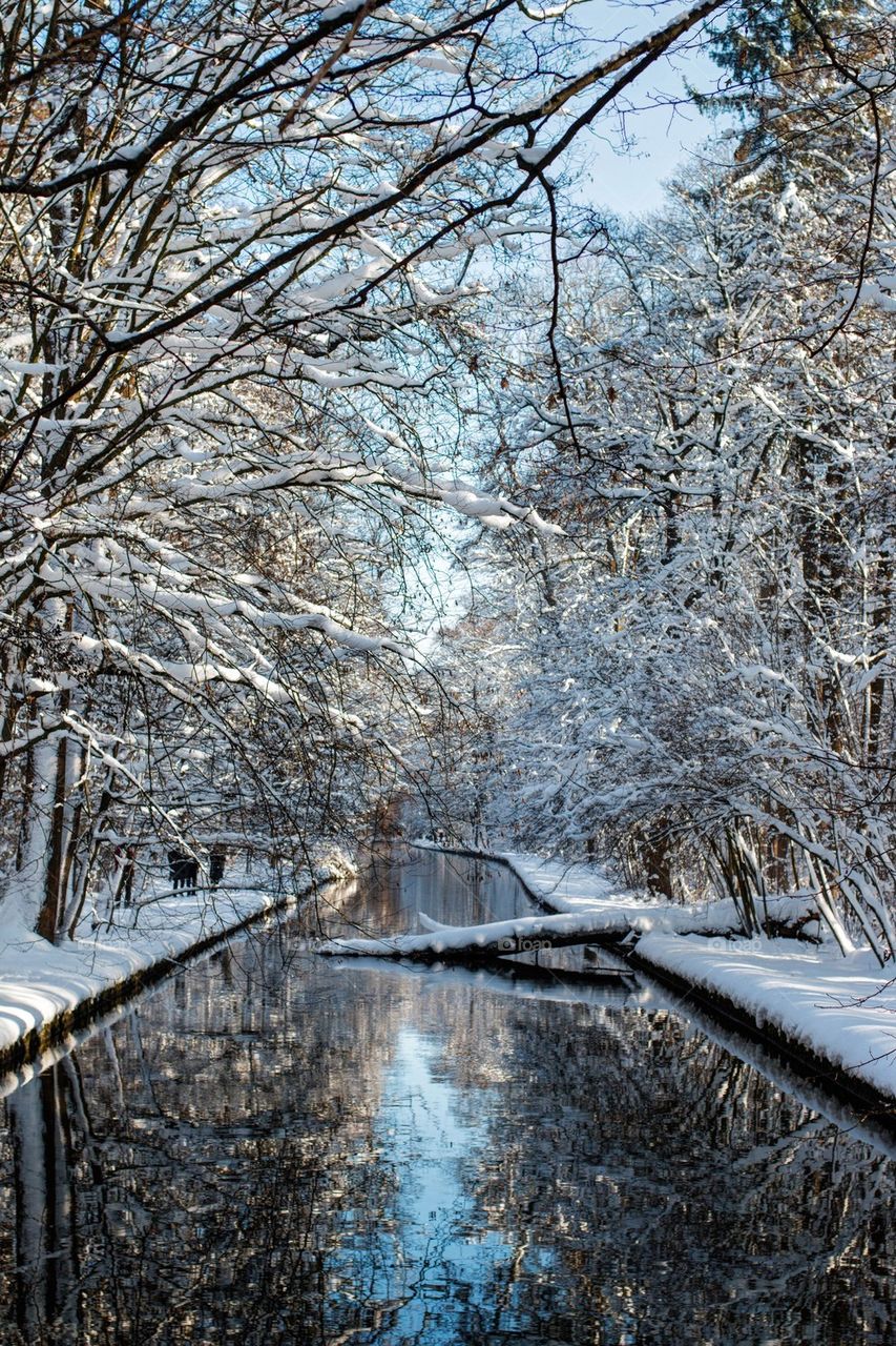 Scenic view of river with frozen trees