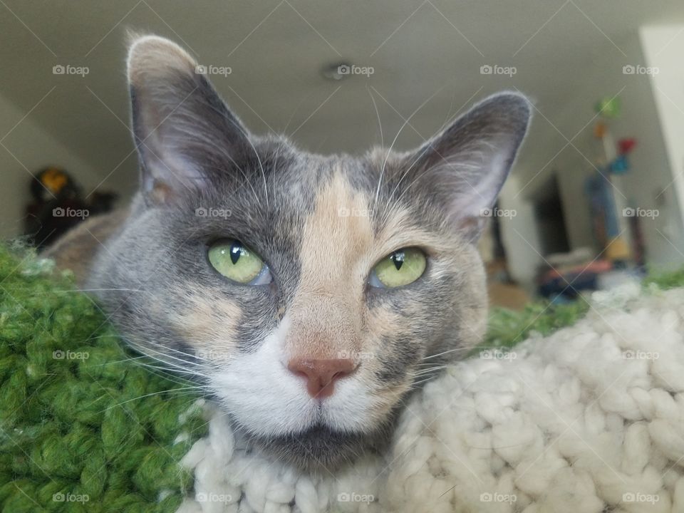 Hepburn's Impossibly Green Eyes