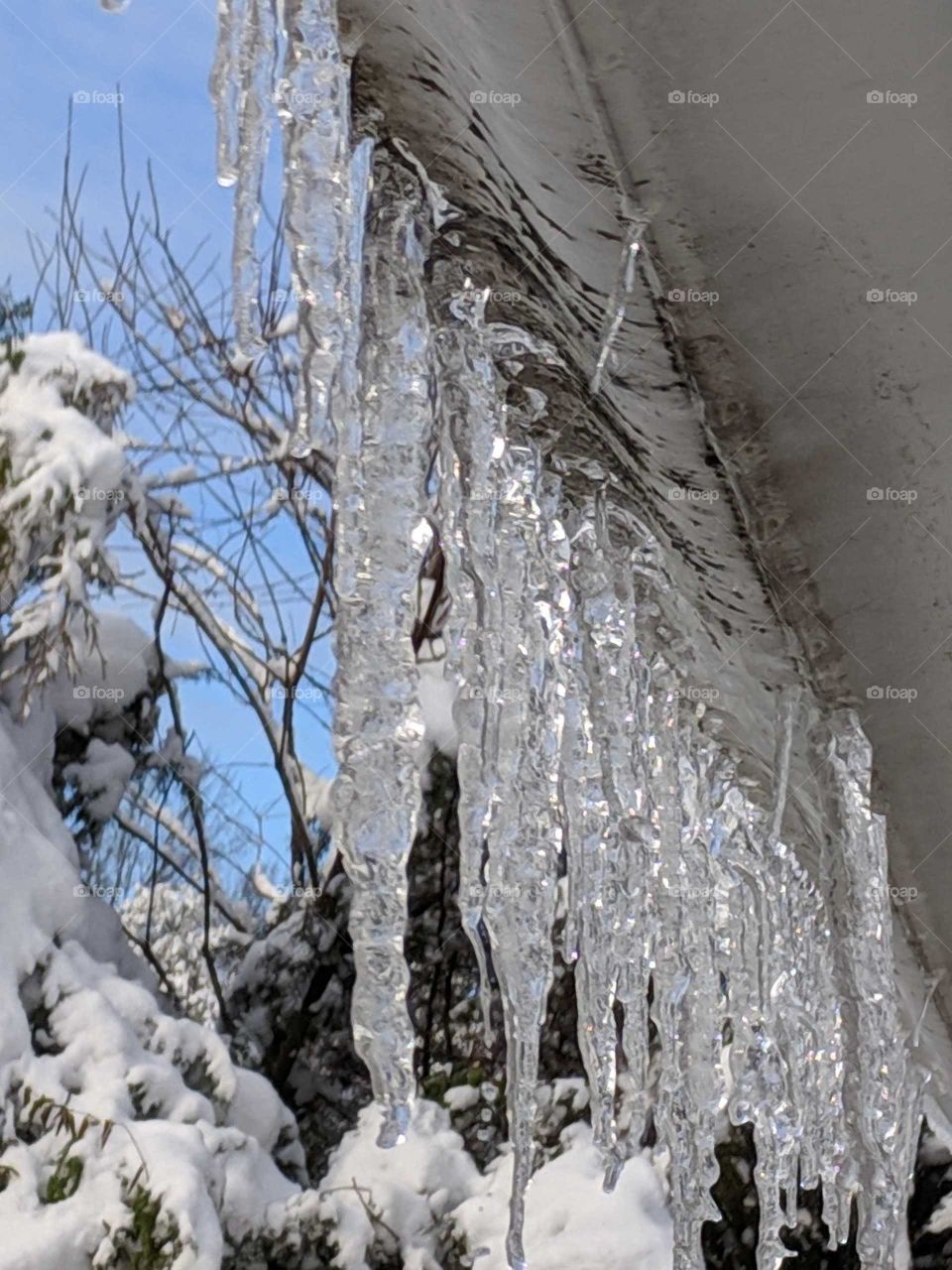 icicles hanging off the gutter of my farmhouse