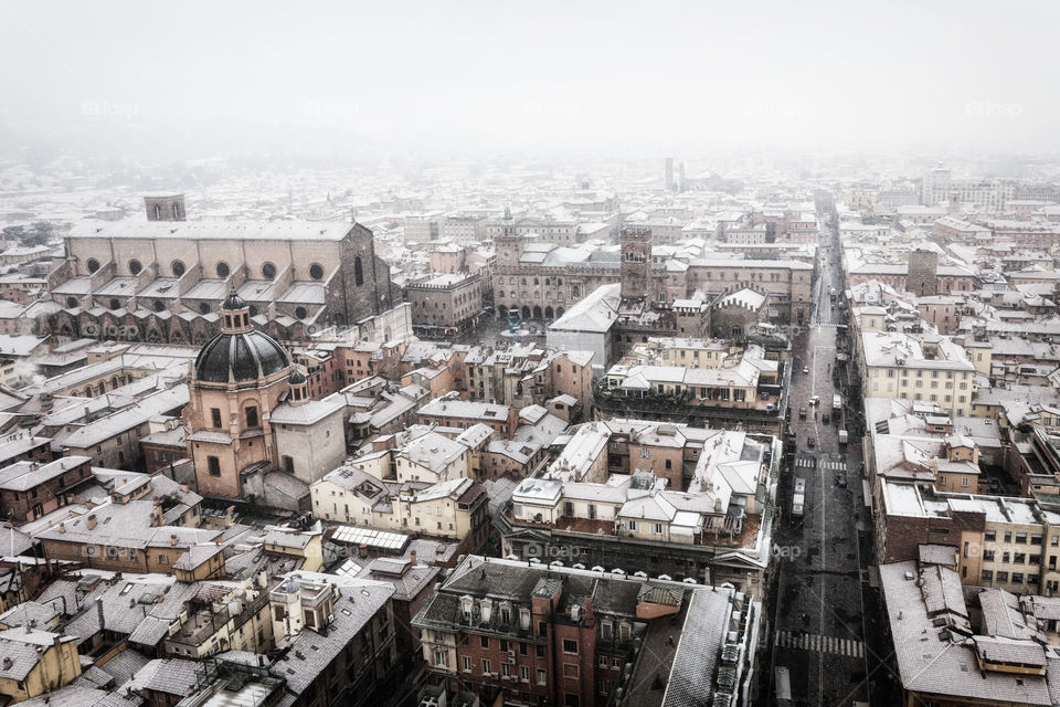 Bologna (Italy)