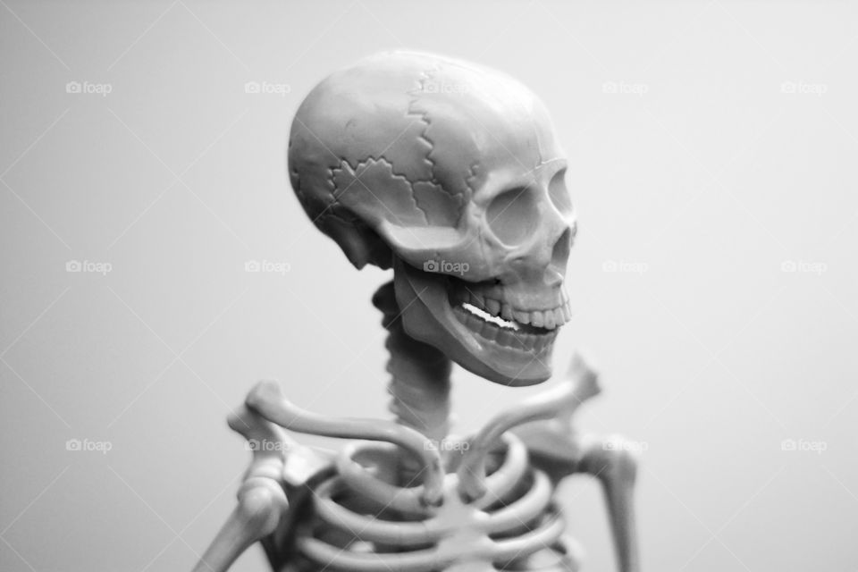 a skeleton model