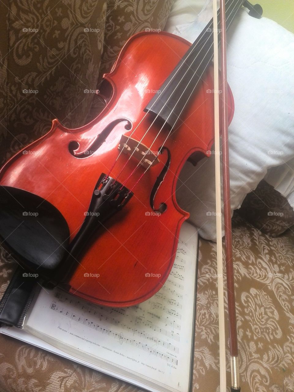 Viola; sharp, looking red, ready to string. 