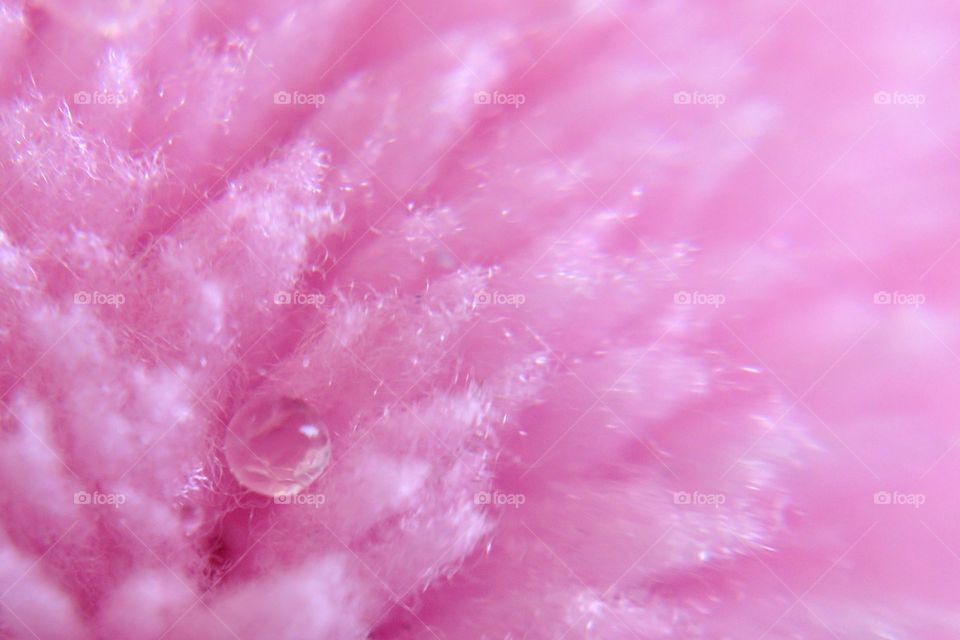 Water drop on pink blanket