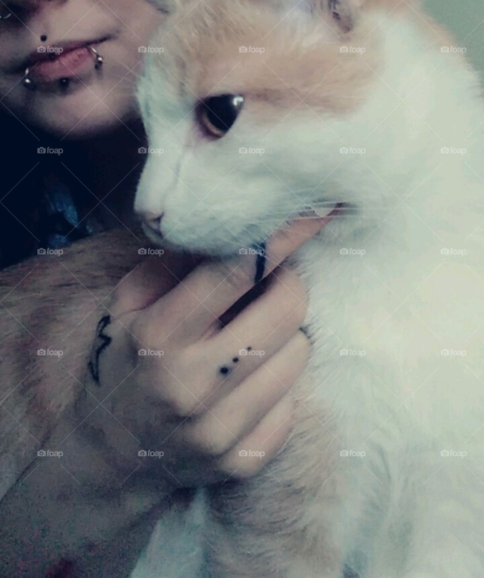 My cat Mojito