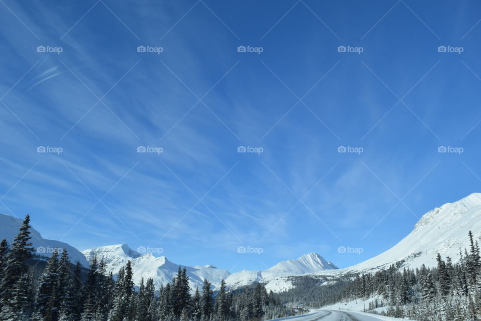 Canadian Rocky Majesty 