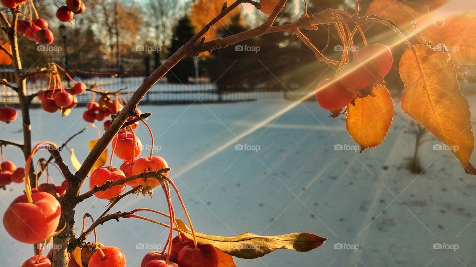 Took this shot in the yard of my office.