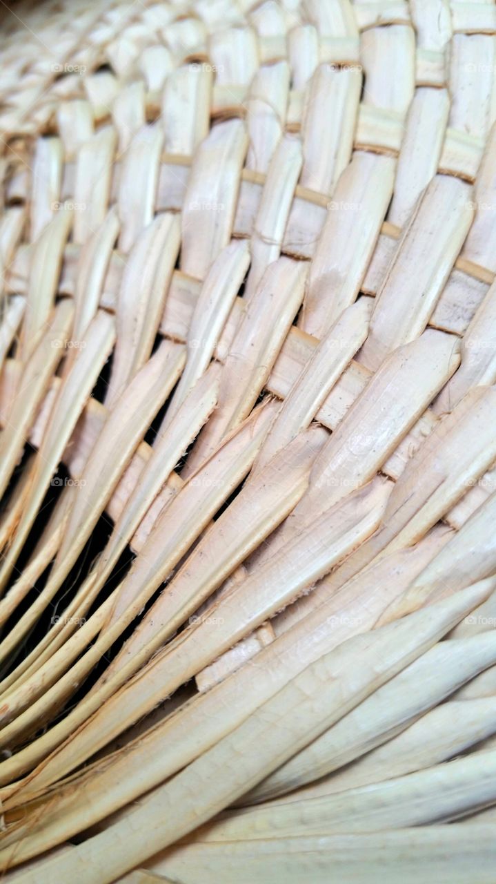 Woven Fronds