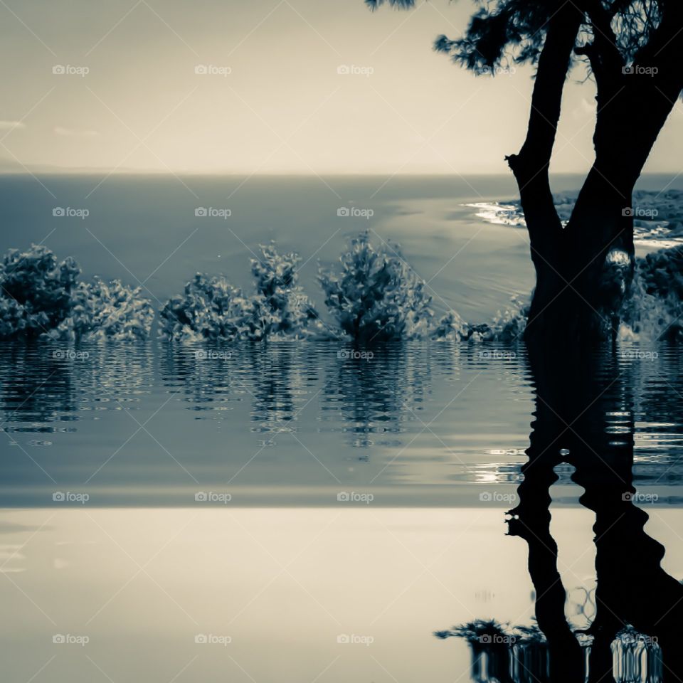 reflection silhouette