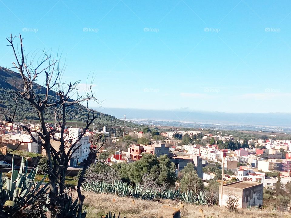 population between the nature