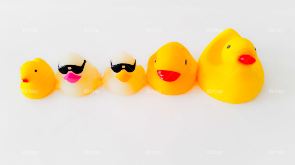 ducks