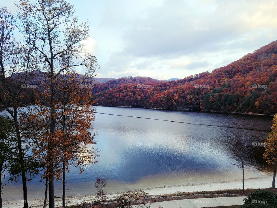 lake in the fall