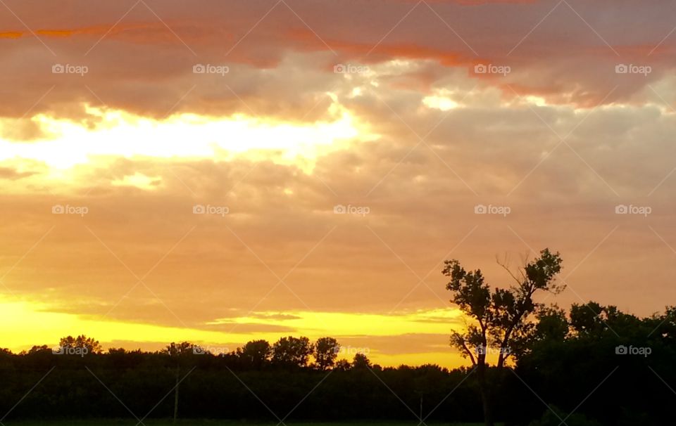 Dam and Trees Silhouetted Against the Setting Sun