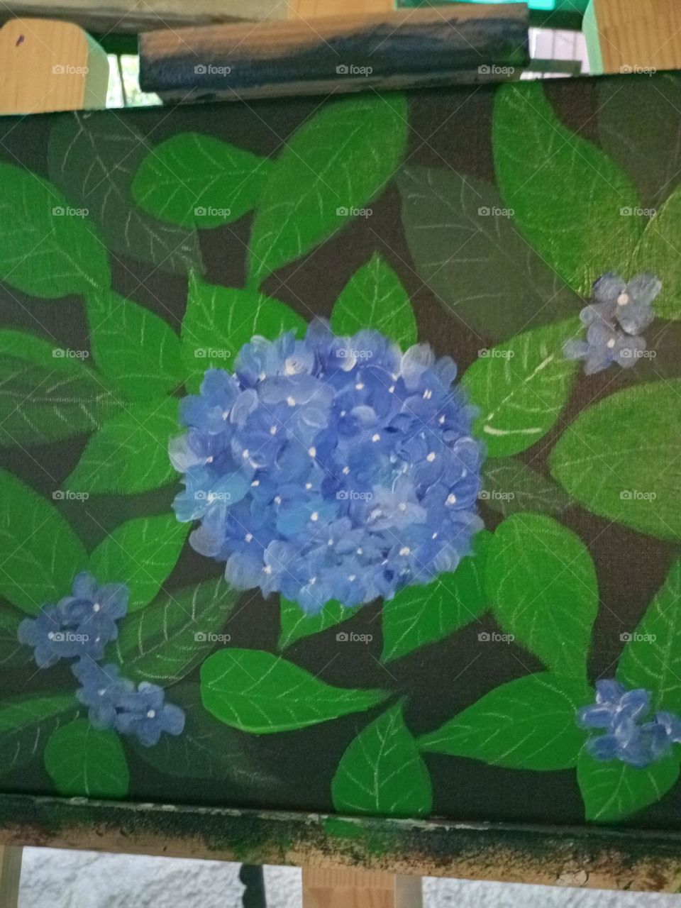 hydrangea