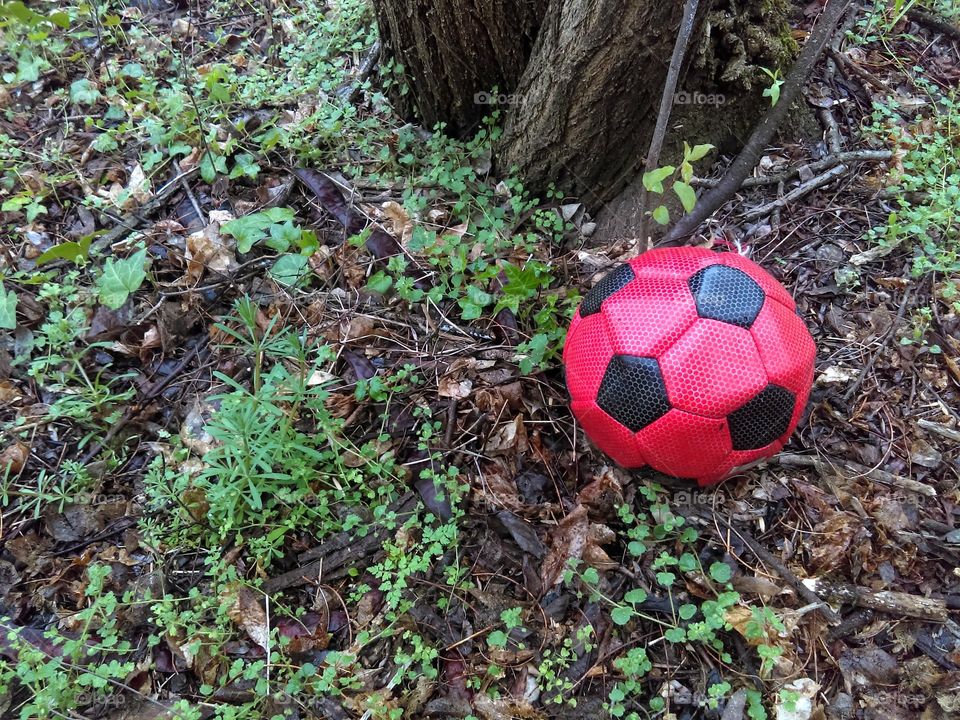 The lost football ball