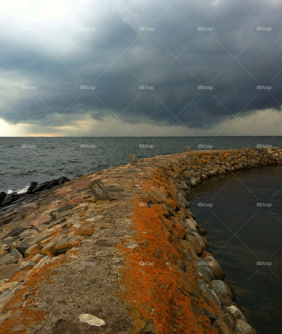 pier thunder orange lichen by the sea by chattis