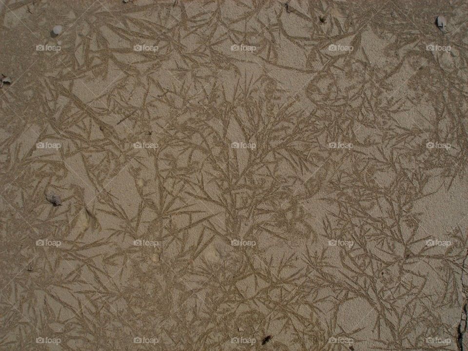 Other Nature's Abstract in Mud