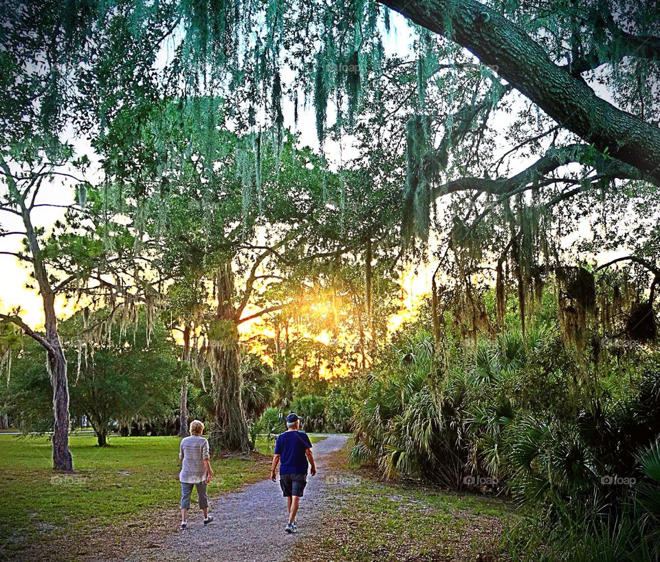 A walk at sunset