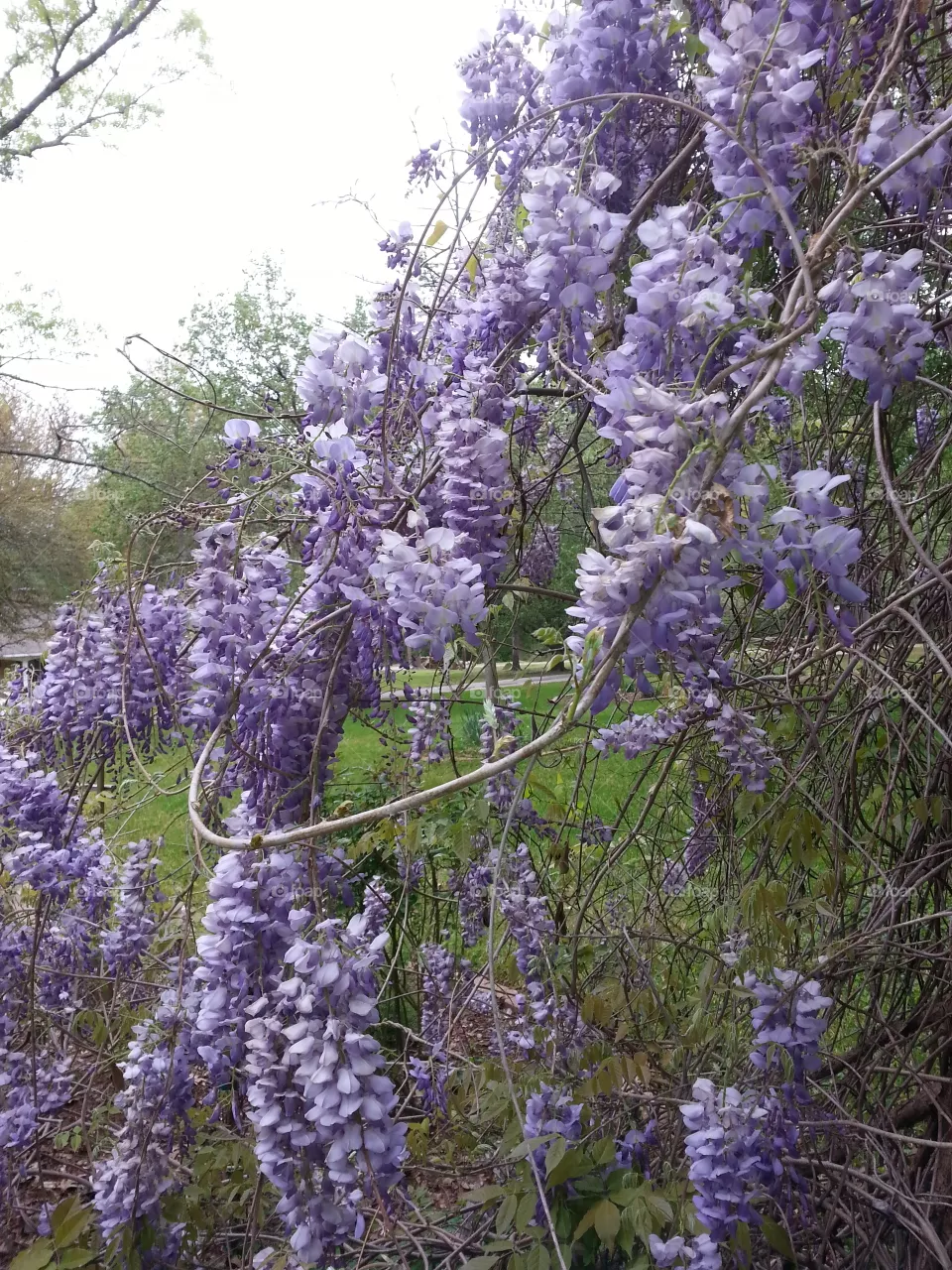 nature
