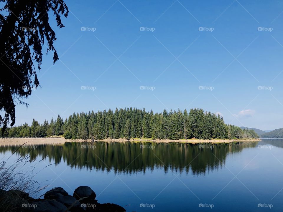 The dam in the summer