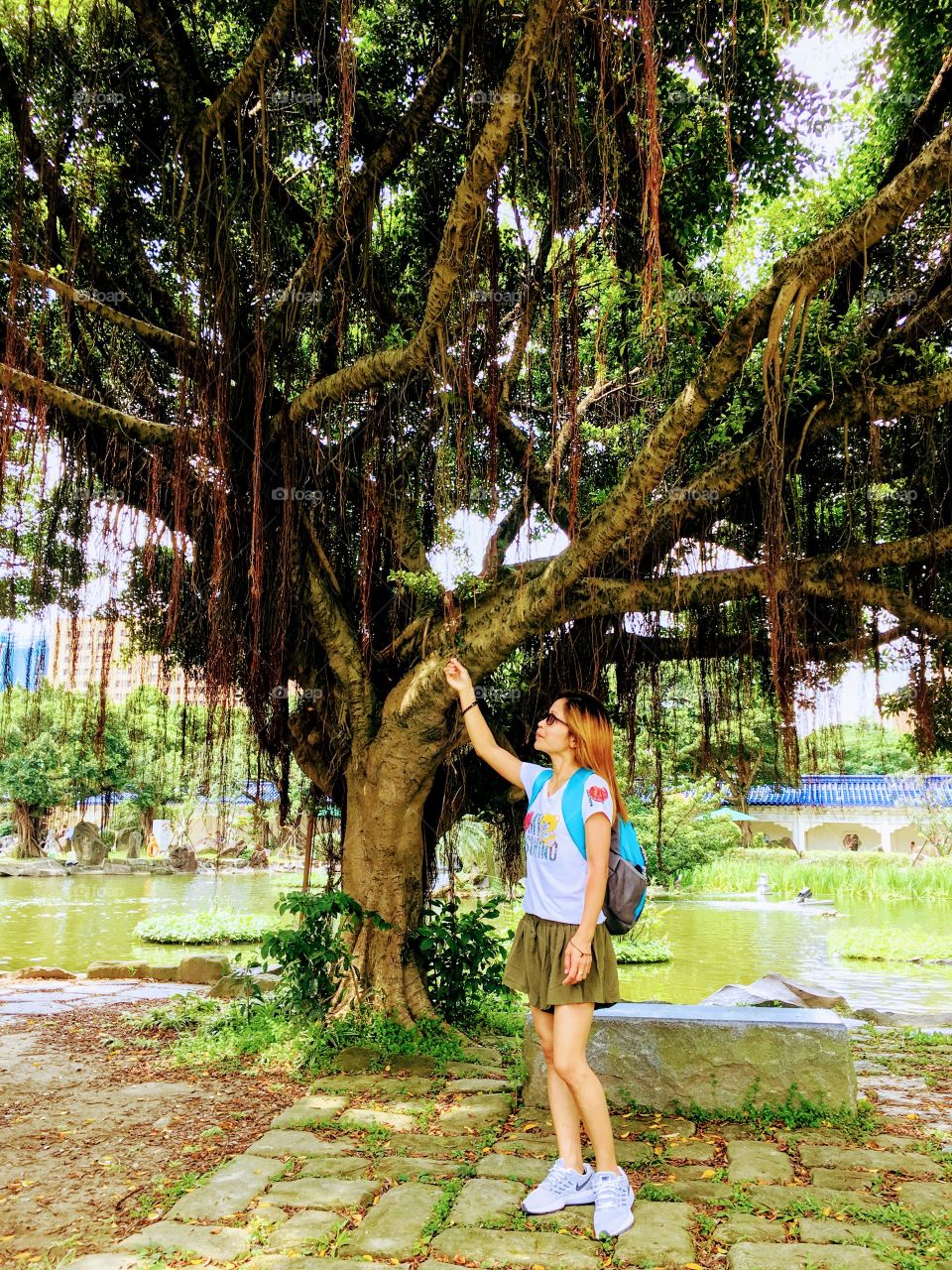 Come with the sense of this old amazing tree around the one of the beautiful wonders of Taiwan, The famous Chiang Kai-Shek Memorial Hall