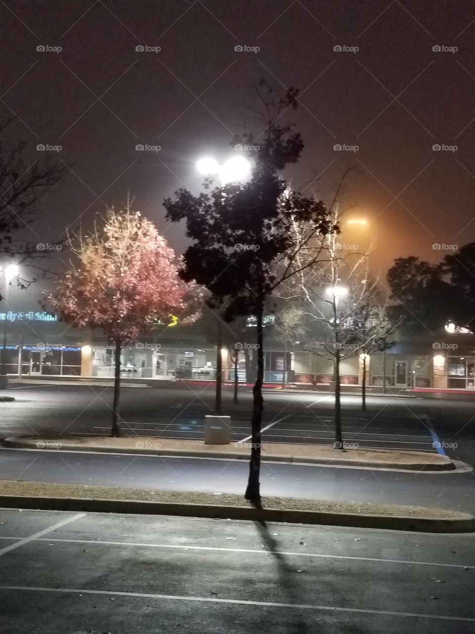 foggy nights in suburbia