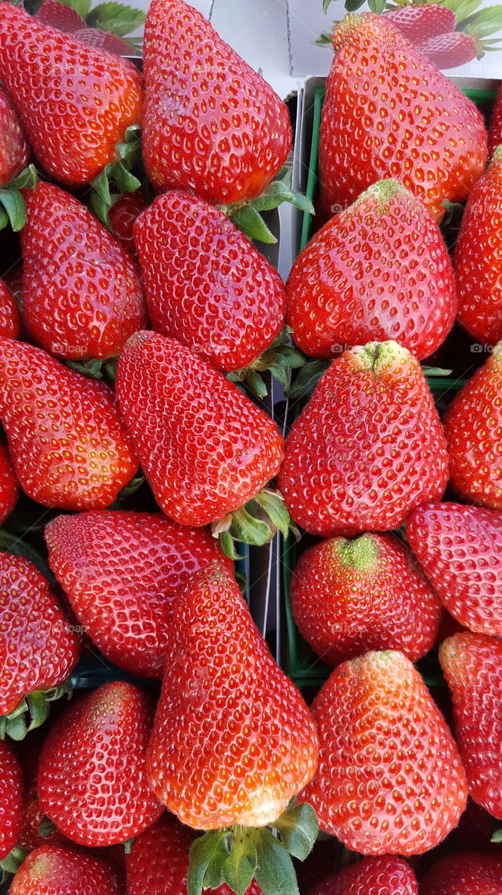 strawberries close up picture