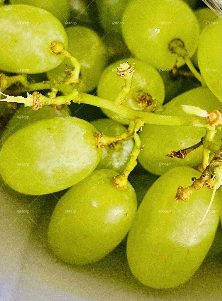 Green Grapes and stem