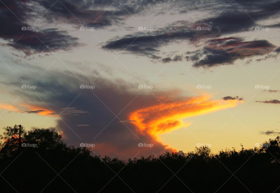 cool shape of the clouds