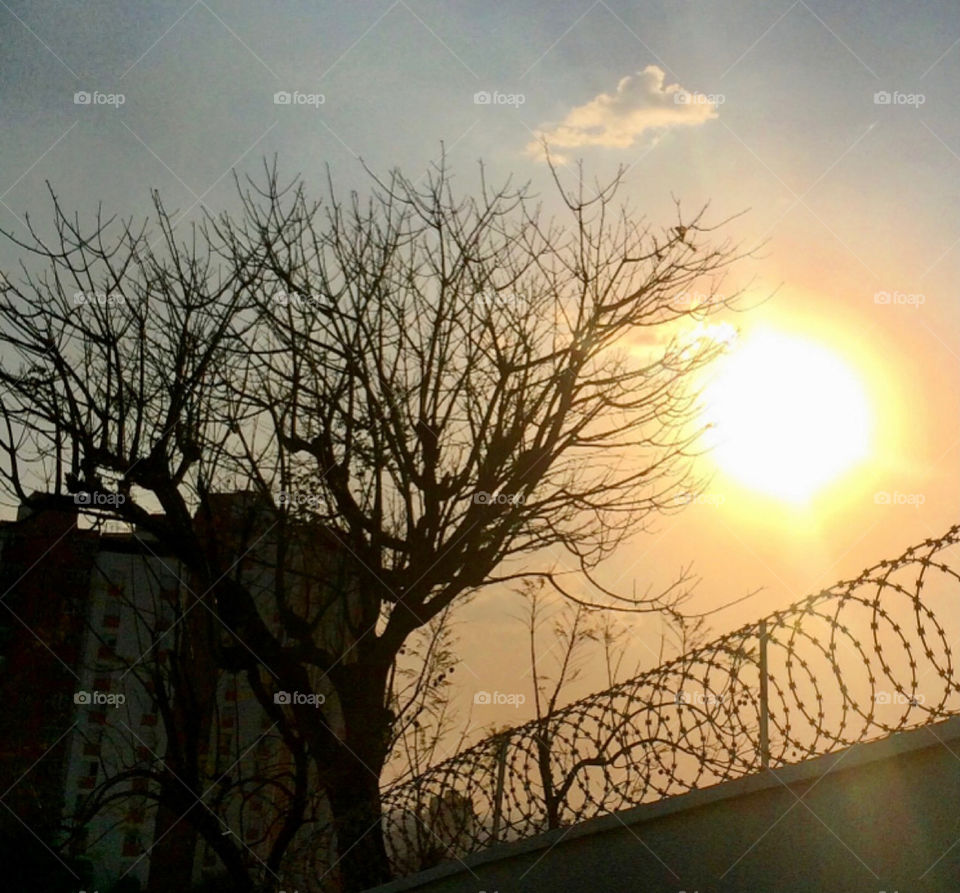 E o “até logo” do sol foi esse aqui:
- Volte amanhã, sábado, Astro-Rei.
📸
#FOTOGRAFIAéNOSSOhobby
#sol #sun #AstroRei #natureza #sunset #paisagem #landscapes #inspiration #mobgrafia