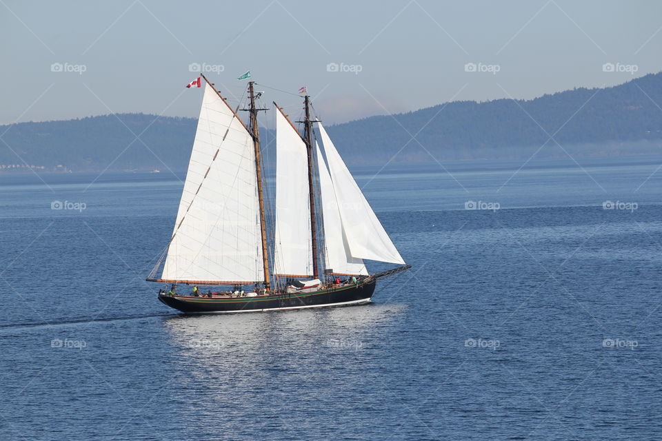 Schooner 