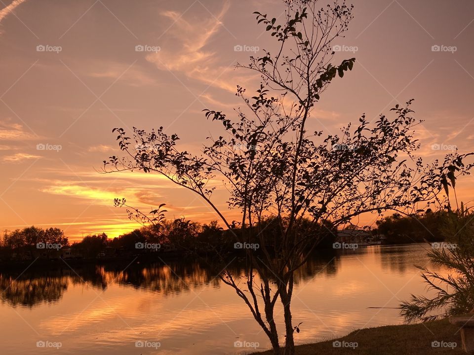 Crepe Myrtle along the lake bed still has leaves and occasional Red Flower. High Clouds are making a pretty picture with Reflections on lake waters.