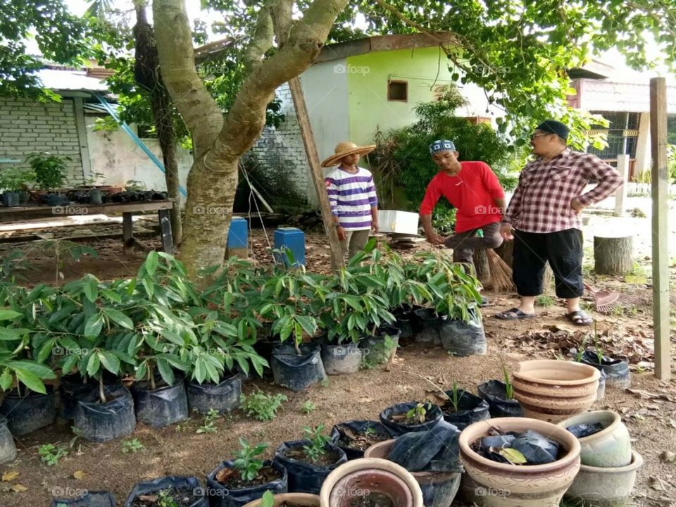 Sophie Village, Malaysia