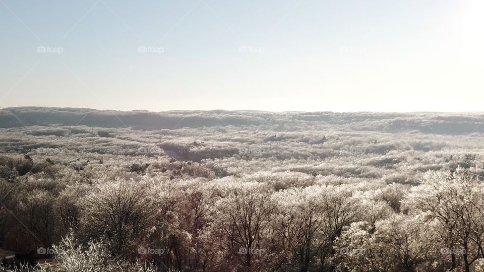 A frosty morning above the woods