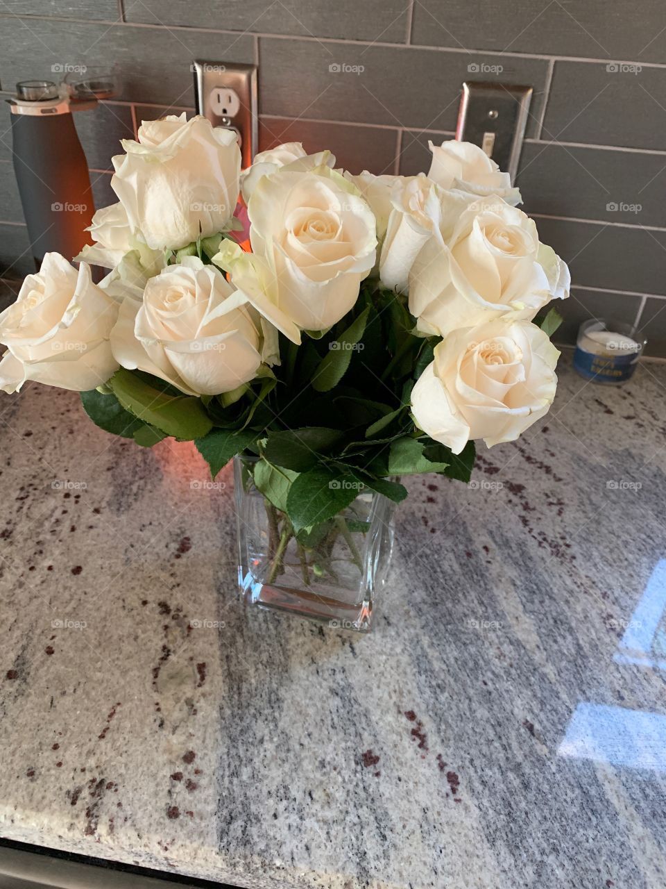Beautiful white roses with a hint of pale pink